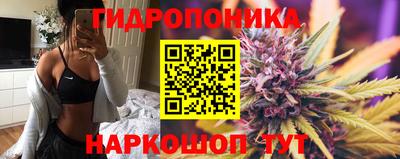 каннабис Абакан