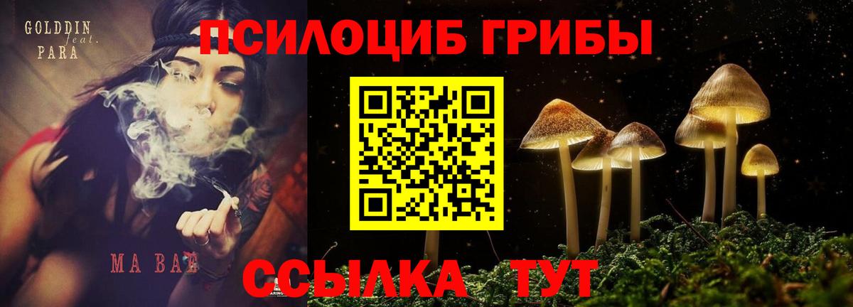 Галлюциногенные грибы мухоморы Ангарск